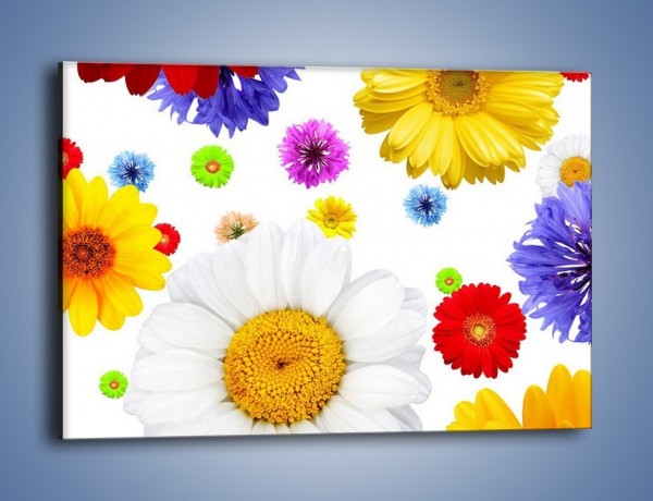 Obraz na płótnie – Wakacyjne kolory w kwiatach – jednoczęściowy prostokątny poziomy K507