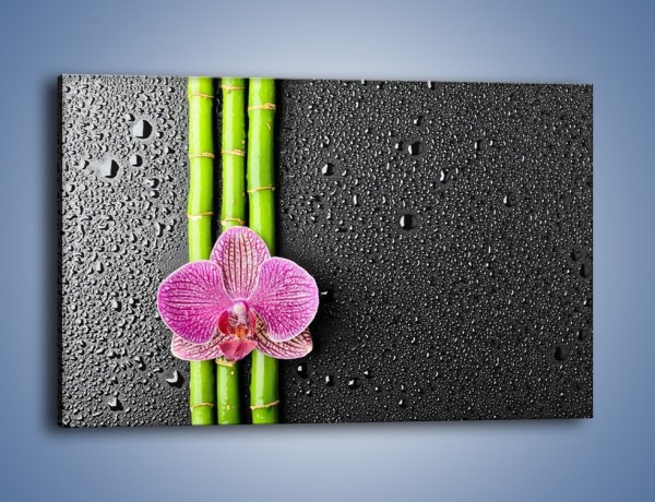 Obraz na płótnie – Kwiat na bambusie – jednoczęściowy prostokątny poziomy K519