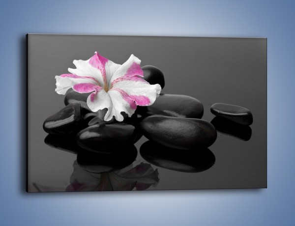 Obraz na płótnie – Czarna tafla z kwiatem – jednoczęściowy prostokątny poziomy K520