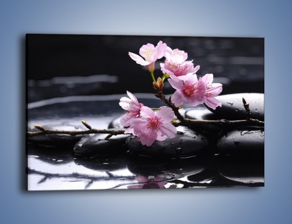 Obraz na płótnie – Gałązka kwiatowa na kamieniach – jednoczęściowy prostokątny poziomy K524