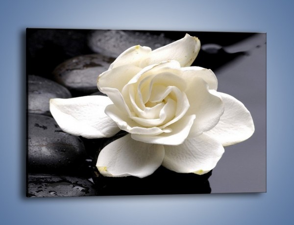 Obraz na płótnie – Jeden kwiat i tyle kamieni – jednoczęściowy prostokątny poziomy K525