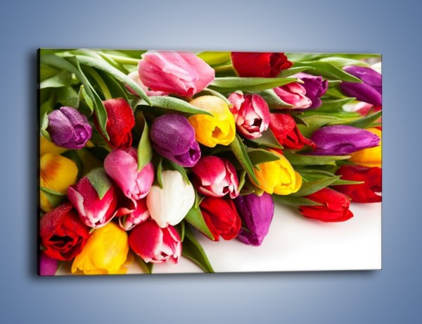Obraz na płótnie – Spokój i luz zachowany w tulipanach – jednoczęściowy prostokątny poziomy K538