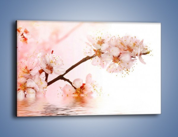 Obraz na płótnie – Blask kwiatów jabłoni – jednoczęściowy prostokątny poziomy K569