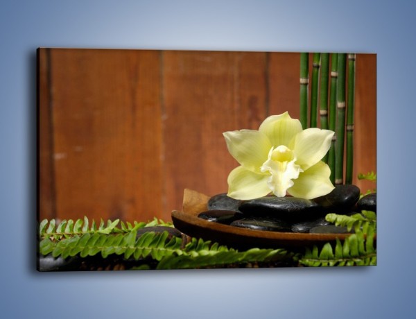 Obraz na płótnie – Kwiat na liściach paproci – jednoczęściowy prostokątny poziomy K577