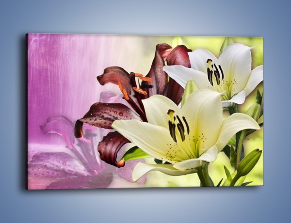Obraz na płótnie – Podwójna twarz lilii – jednoczęściowy prostokątny poziomy K584