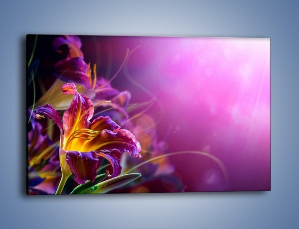 Obraz na płótnie – Zaczarowany kwiat – jednoczęściowy prostokątny poziomy K586