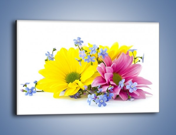 Obraz na płótnie – Niezapominajki wśród kwiatów – jednoczęściowy prostokątny poziomy K604