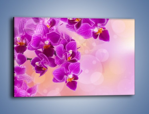 Obraz na płótnie – Spadające fioletowe kwiaty – jednoczęściowy prostokątny poziomy K614