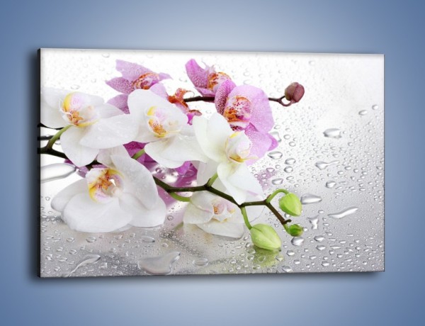 Obraz na płótnie – Kwiaty na mokrej szybie – jednoczęściowy prostokątny poziomy K617