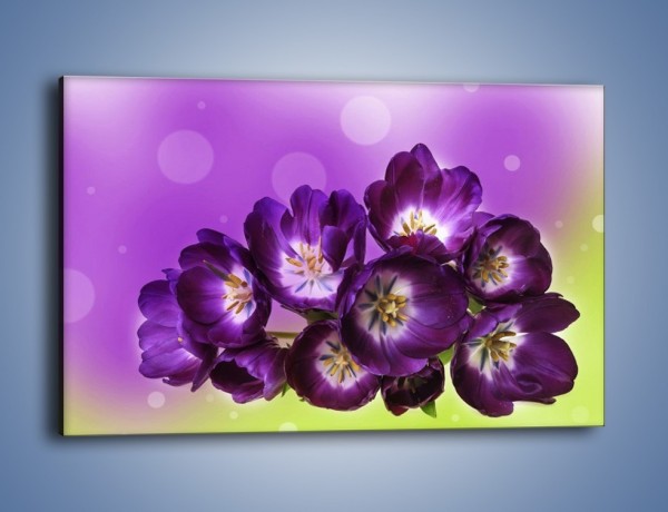 Obraz na płótnie – Fioletowe kwiaty w powietrzu – jednoczęściowy prostokątny poziomy K630