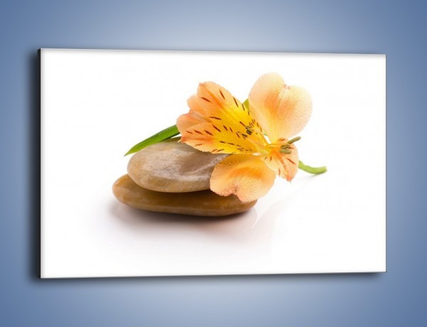 Obraz na płótnie – Kwiat jak mango – jednoczęściowy prostokątny poziomy K631