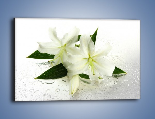 Obraz na płótnie – Niewinność białej lilii – jednoczęściowy prostokątny poziomy K632