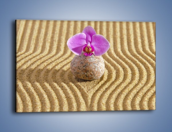 Obraz na płótnie – Struktura piasku z kwiatem – jednoczęściowy prostokątny poziomy K637