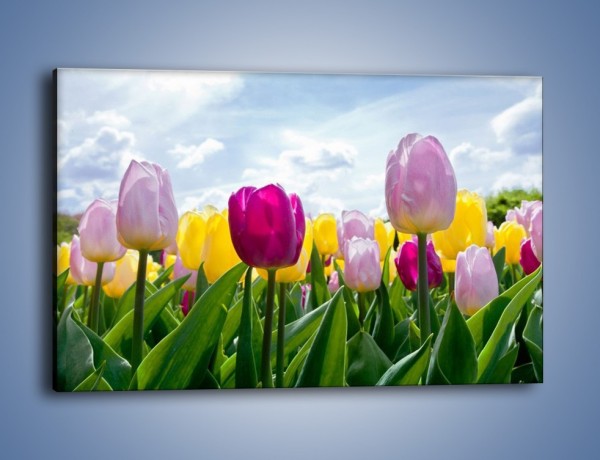 Obraz na płótnie – Kwiaty na tle chmur – jednoczęściowy prostokątny poziomy K638