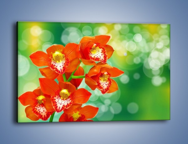 Obraz na płótnie – Kwiatek jak pomarańcza – jednoczęściowy prostokątny poziomy K642