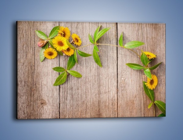 Obraz na płótnie – Słoneczne kwiatuszki na deskach – jednoczęściowy prostokątny poziomy K645