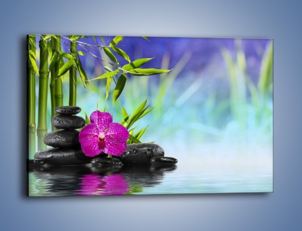 Obraz na płótnie – Wodny pejzaż z kwiatem – jednoczęściowy prostokątny poziomy K646