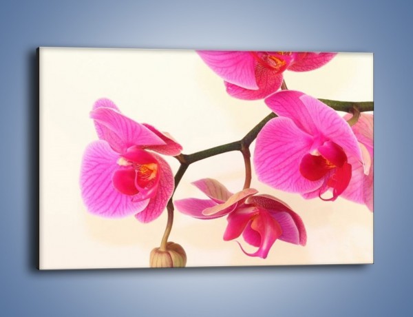 Obraz na płótnie – Pączek w towarzystwie kwiatów – jednoczęściowy prostokątny poziomy K651
