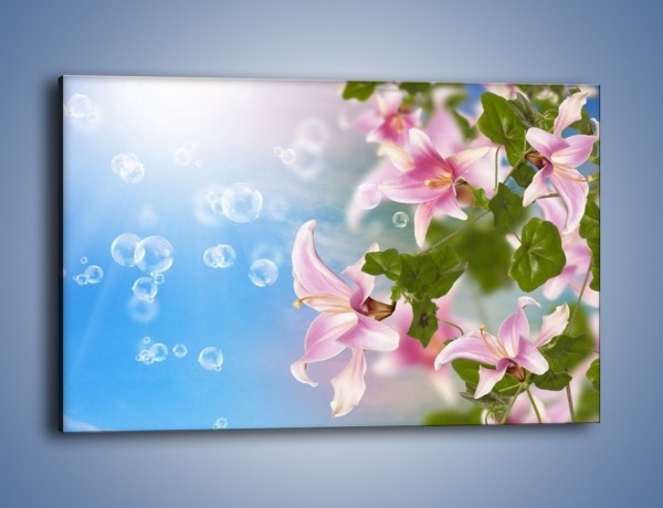 Obraz na płótnie – Mydlane bańki nad kwiatami – jednoczęściowy prostokątny poziomy K669