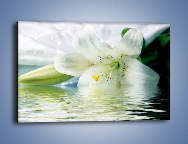 Obraz na płótnie – Czystość zachowana w lilii – jednoczęściowy prostokątny poziomy K675