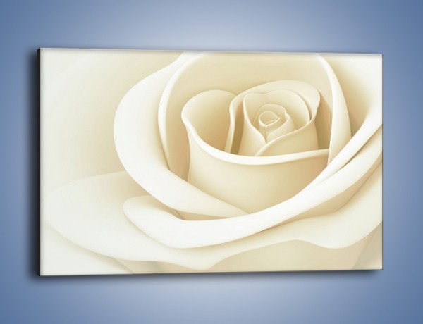 Obraz na płótnie – Róża niczym delikatny krem – jednoczęściowy prostokątny poziomy K708