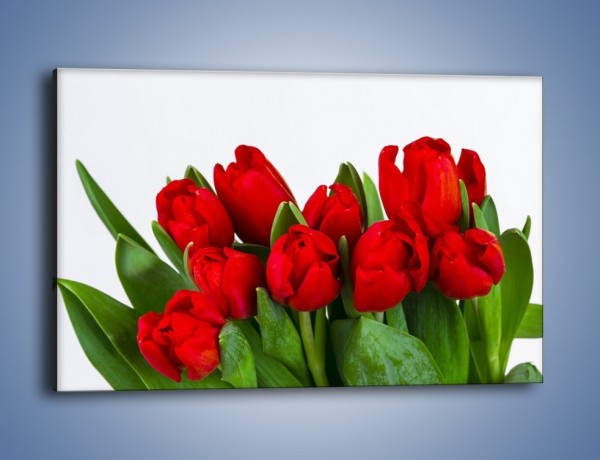 Obraz na płótnie – Tulipany na dzień kobiet – jednoczęściowy prostokątny poziomy K740