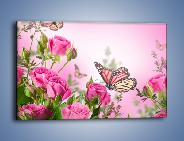Obraz na płótnie – Motyle różowe jak kwiaty – jednoczęściowy prostokątny poziomy K741