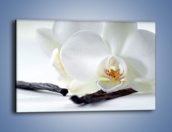 Obraz na płótnie – Laski wanilii i kwiat – jednoczęściowy prostokątny poziomy K750