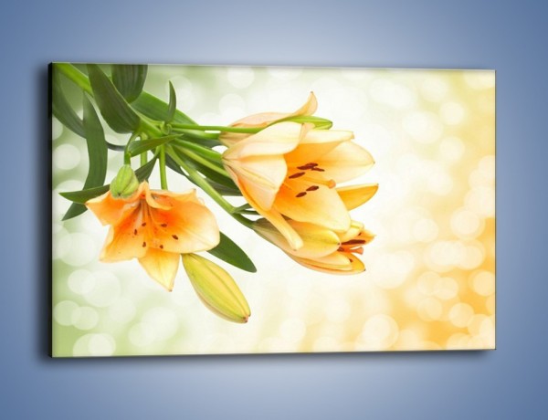 Obraz na płótnie – Łososiowe pachnące lilie – jednoczęściowy prostokątny poziomy K755