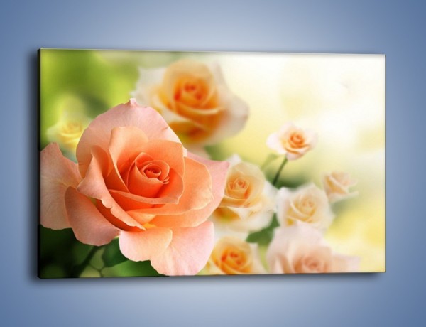 Obraz na płótnie – Dzikie róże w ogrodzie – jednoczęściowy prostokątny poziomy K764