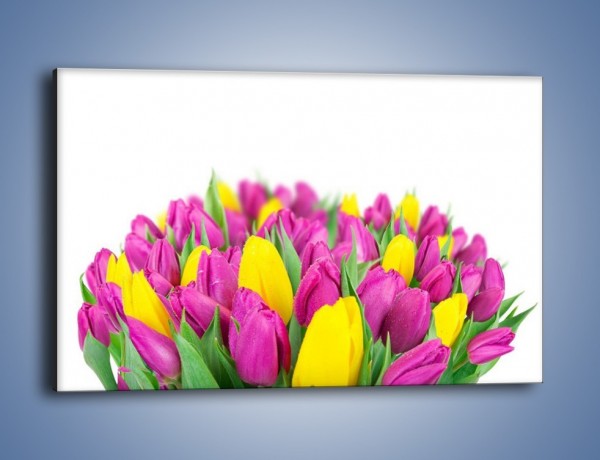 Obraz na płótnie – Bukiet fioletowo-żółtych tulipanów – jednoczęściowy prostokątny poziomy K778