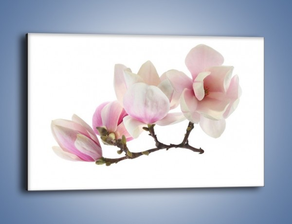 Obraz na płótnie – Obcięte gałązki białych różowych kwiatów – jednoczęściowy prostokątny poziomy K783