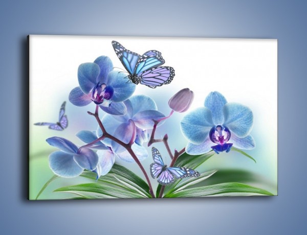 Obraz na płótnie – Niebieskie motyle jak niebieskie kwiaty – jednoczęściowy prostokątny poziomy K784