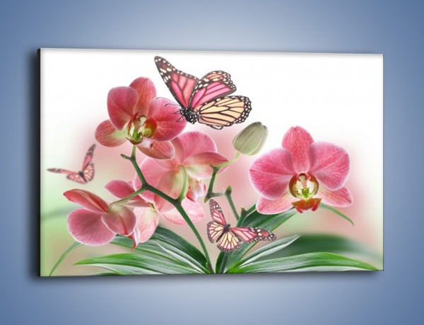 Obraz na płótnie – Różowy motyl czy kwiat – jednoczęściowy prostokątny poziomy K786