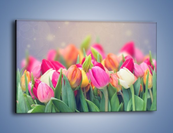 Obraz na płótnie – Tulipany i baśniowy widok – jednoczęściowy prostokątny poziomy K793