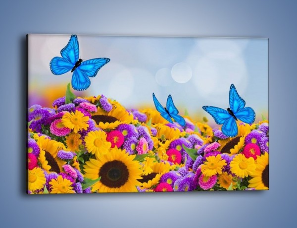 Obraz na płótnie – Bajka o kwiatach i motylach – jednoczęściowy prostokątny poziomy K794