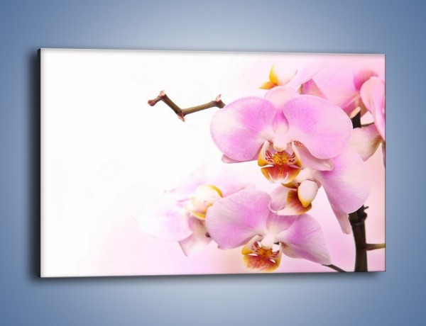 Obraz na płótnie – Delikatny motyw z kwiatami – jednoczęściowy prostokątny poziomy K815