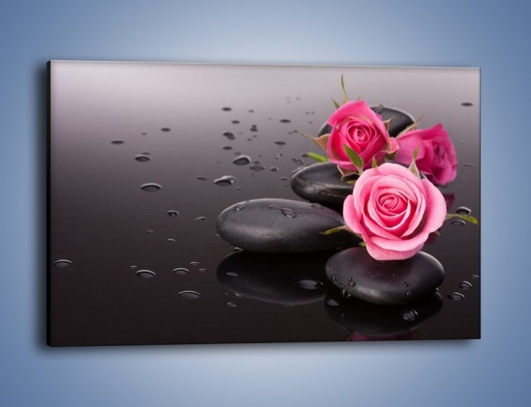 Obraz na płótnie – Róże na mokrych kamieniach – jednoczęściowy prostokątny poziomy K822