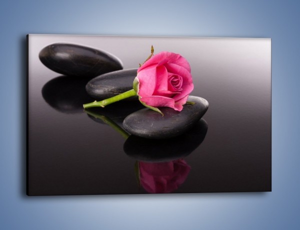 Obraz na płótnie – Ścięta róża na czarnej tafli – jednoczęściowy prostokątny poziomy K832