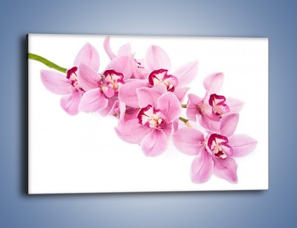 Obraz na płótnie – Dojrzała gałąź kwiatów – jednoczęściowy prostokątny poziomy K845
