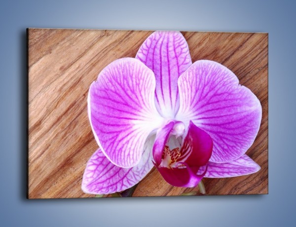 Obraz na płótnie – Kwiat na drewnianych słojach – jednoczęściowy prostokątny poziomy K850