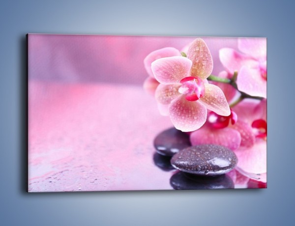 Obraz na płótnie – Mokry kwiatowy pejzaż – jednoczęściowy prostokątny poziomy K860