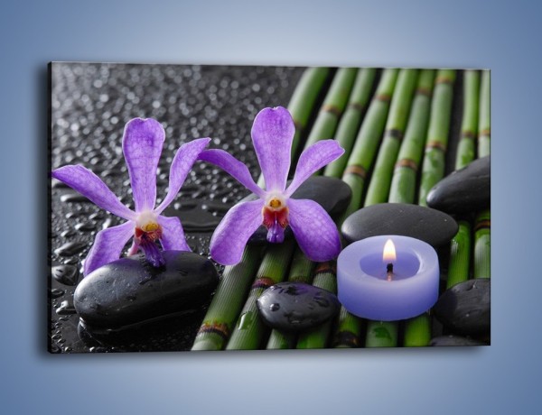 Obraz na płótnie – Mokre fiolety i kwiaty – jednoczęściowy prostokątny poziomy K880