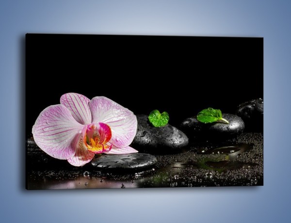 Obraz na płótnie – Kwiat w mokrym klimacie – jednoczęściowy prostokątny poziomy K882