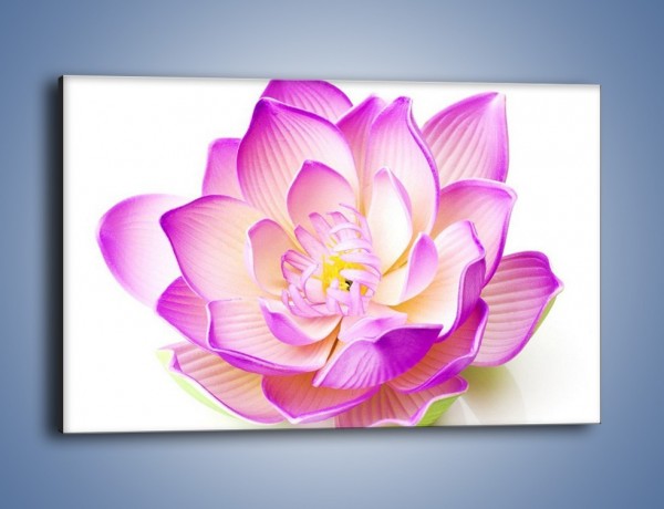 Obraz na płótnie – Kwiat otwarty na świat – jednoczęściowy prostokątny poziomy K890