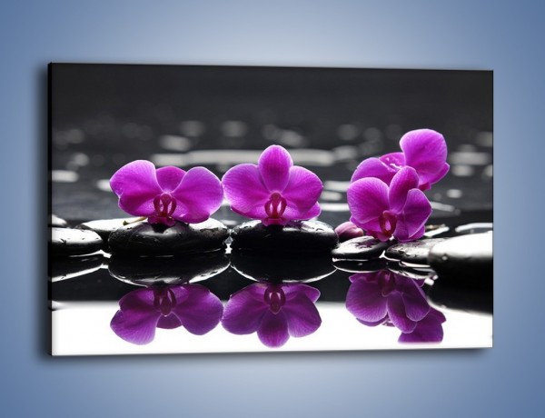Obraz na płótnie – Wodny szereg kwiatowy – jednoczęściowy prostokątny poziomy K905