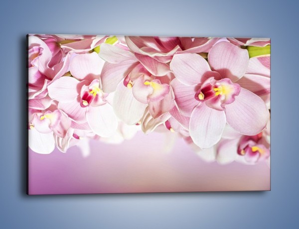 Obraz na płótnie – Pejzaż kwiatowy od góry – jednoczęściowy prostokątny poziomy K936