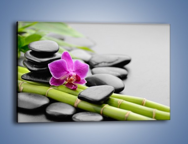 Obraz na płótnie – Samotny kwiat na bambusowych łodygach – jednoczęściowy prostokątny poziomy K940