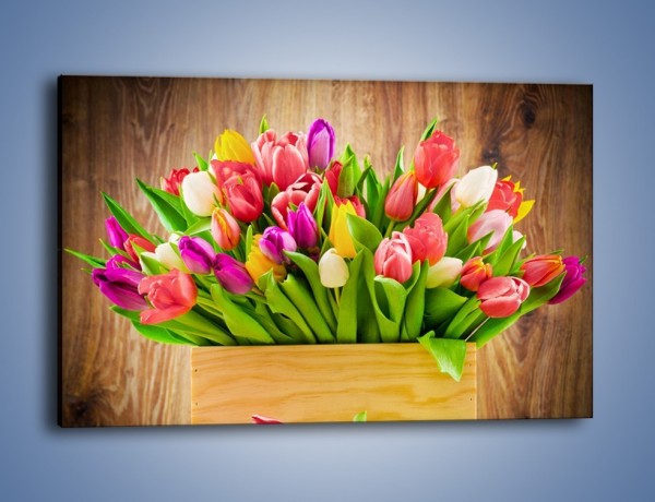 Obraz na płótnie – Skrzynia w tulipanach – jednoczęściowy prostokątny poziomy K955