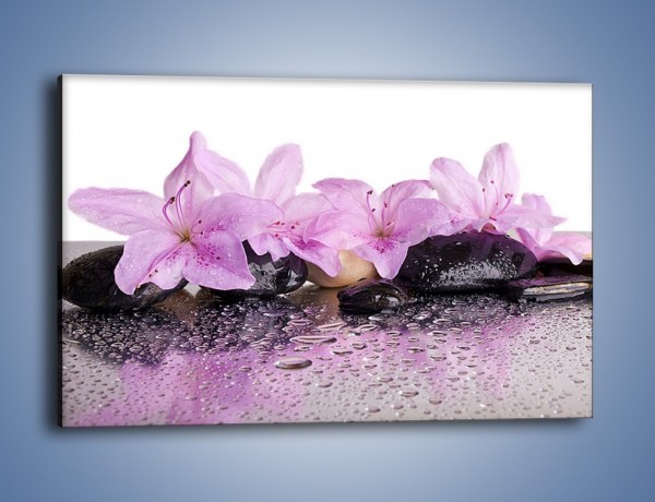 Obraz na płótnie – Lila kwiaty w mokrym klimacie – jednoczęściowy prostokątny poziomy K957